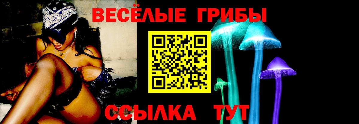 Псилоцибиновые грибы прущие грибы  Вход с VPN  Псилоцибиновые грибы мухоморы  Елизово 